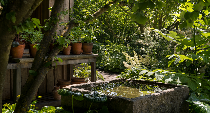 National Garden Scheme garden by Tom Stuart Smith